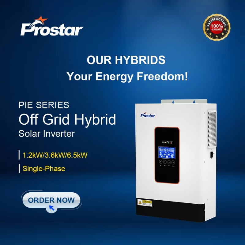 【2026】3.6kw 12V 24V 48V Pure S - Renewable Energy Is avaliação e preço